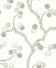 Cotton