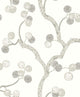 Cotton