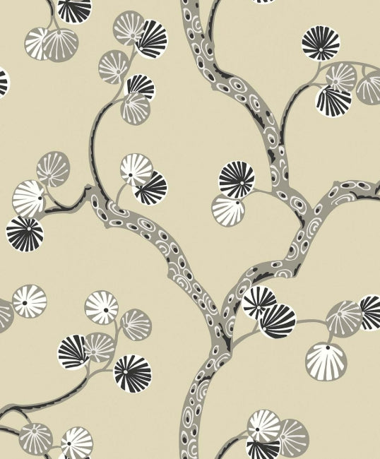 cream_allegra