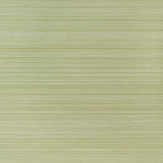 Anhe Abaca in Apple Green