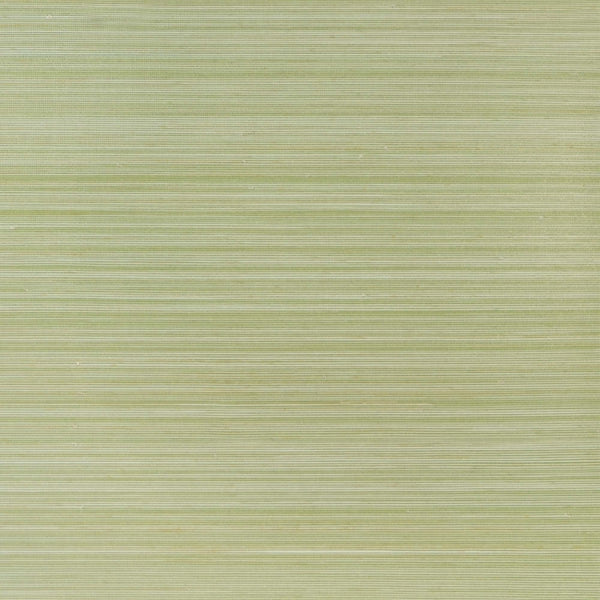apple-green_anhe-abaca