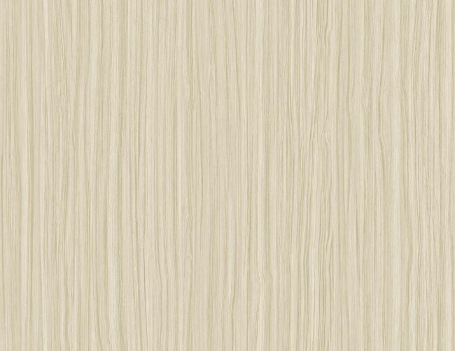 rice-paper_salo-54