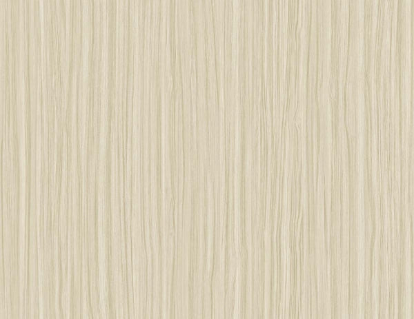 Rice Paper