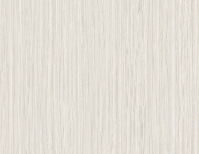 paper_salo-54