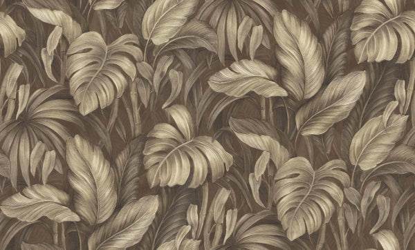 coffee_voyage-monstera-coffee