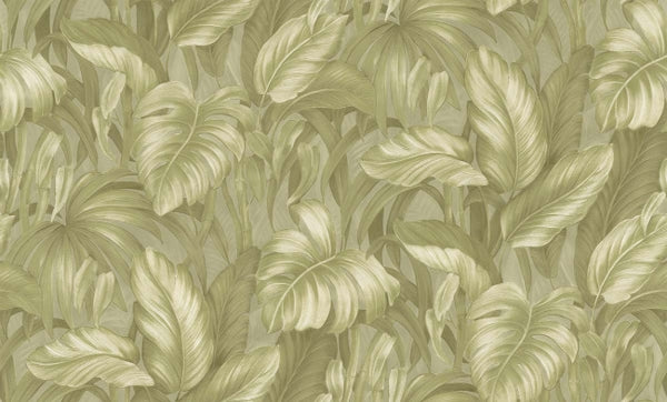 garden_voyage-monstera-garden