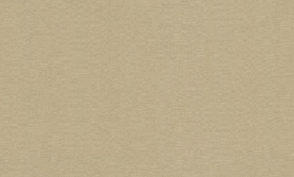 Desert (DB73765)