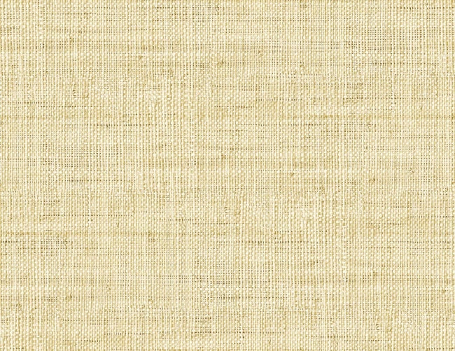 honey_wild-bind-27