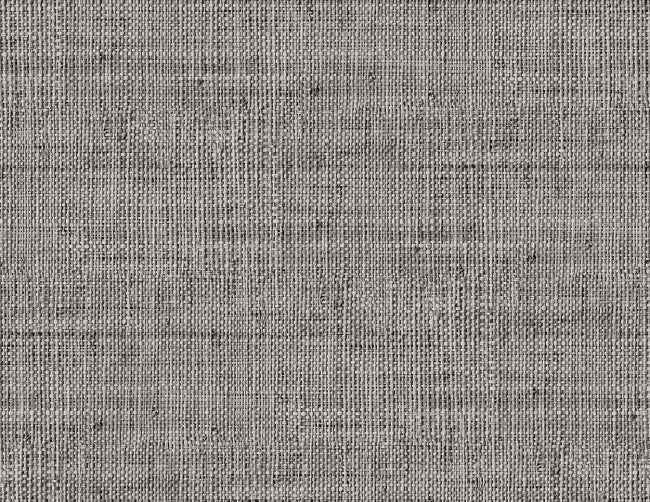 storm_wild-bind-54