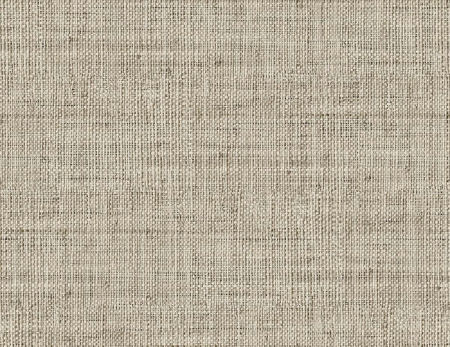 latte_wild-bind-54