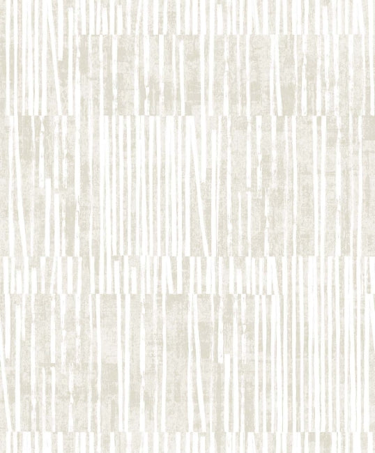Plaster
