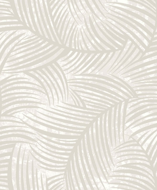 oat-milk_zephyra
