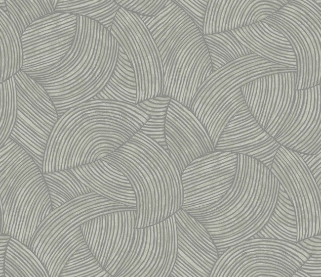 silver-speck_stellara