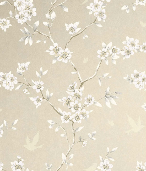 sugar_hanami-trail
