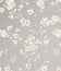 Mica