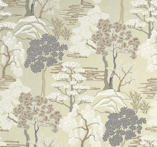 macademia_mori-trees