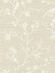Blanched Almond