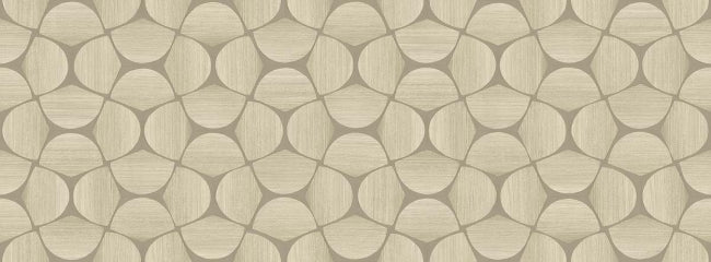 hazelnut_sienne