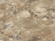 Honey Beige