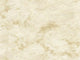 Golden Ivory
