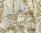 Calacatta