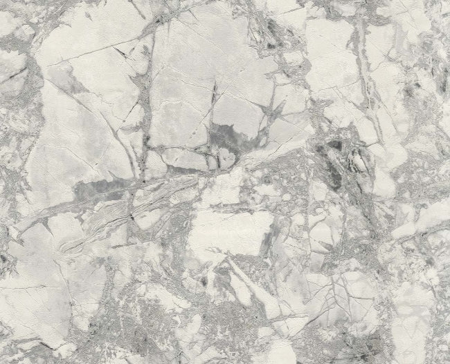 silver-dust_polvaccio