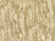 Parchment