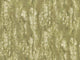 Sagebrush