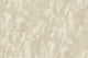 Saltstone