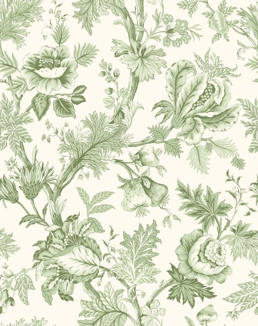 spring-fern_cabris