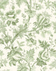 Spring Fern