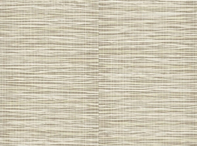 toasted-coconut_senja
