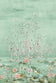 Seaglass