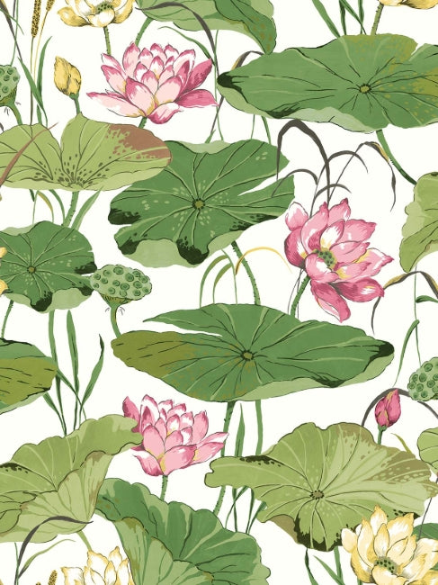 Pink and Green