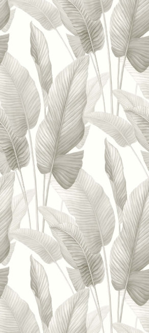 gloss-white_mantra