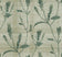 Pale Grass