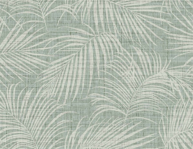 dune-grass_jiva