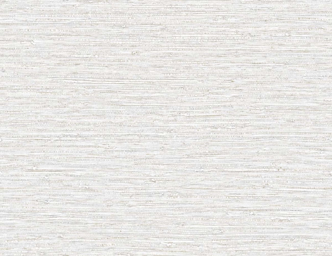 foam_darma