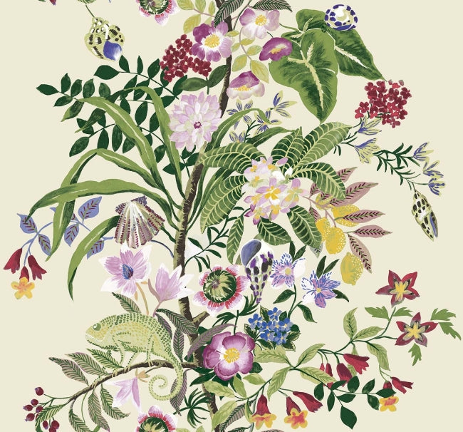 Solmuse in Bloom