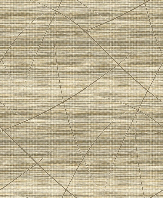 mocha_bract