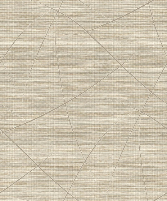 caramel_bract