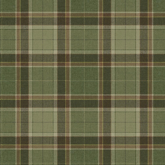 olive-green_stirling