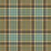 Aqua and Brown