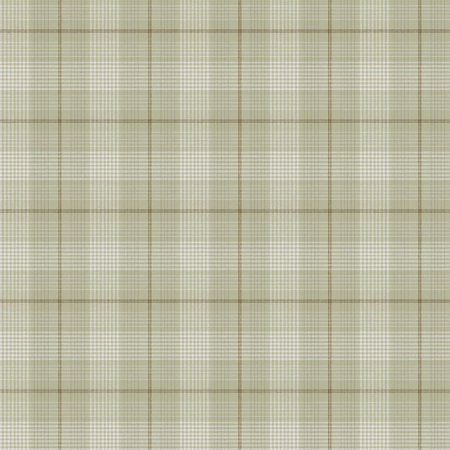 fawn_torridon