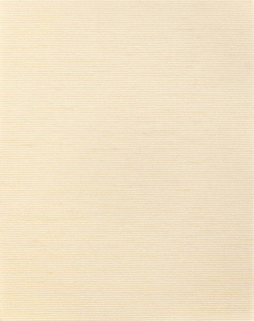 champagne_aditi-plain