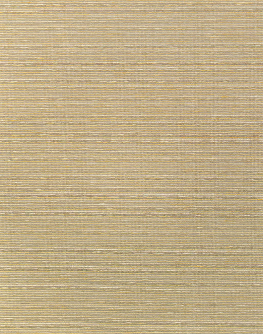 raffia_aditi-plain