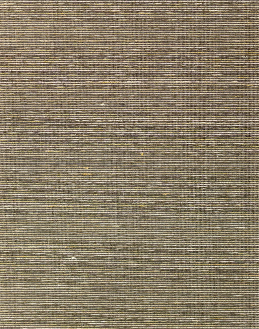 mocha_aditi-plain
