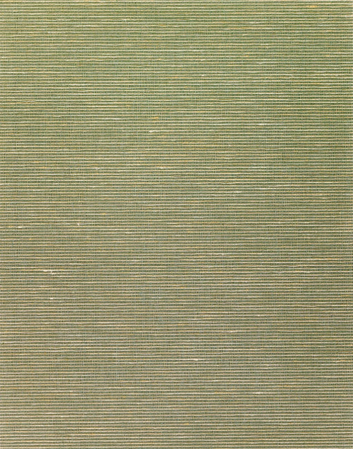 olive_aditi-plain