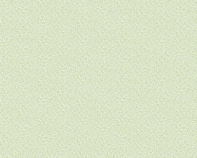 baby-plant_picatee