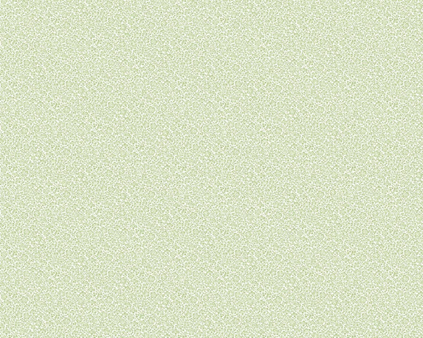 baby-plant_picatee